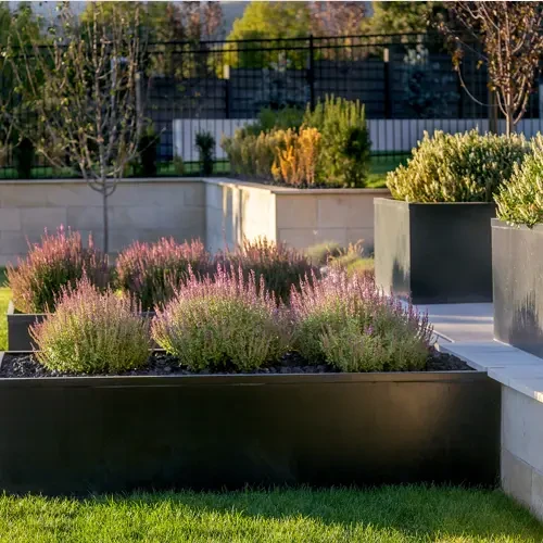 Planter and Landscape